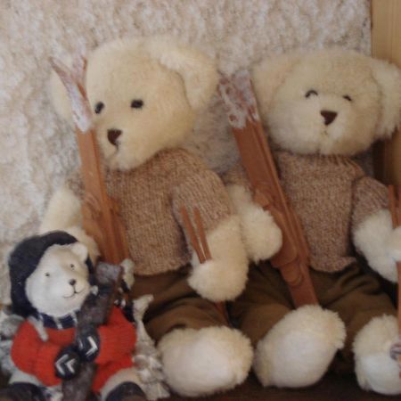 דירות וילארס-סור-אולון Petit Ours מראה חיצוני תמונה